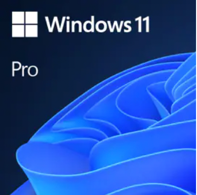 Windows 11 Professional 64bits Lifetime Genuine Digital License