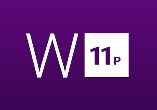 Windows 11 Professional + MS Office Professional Plus 2021 - Bundle Lifetime license